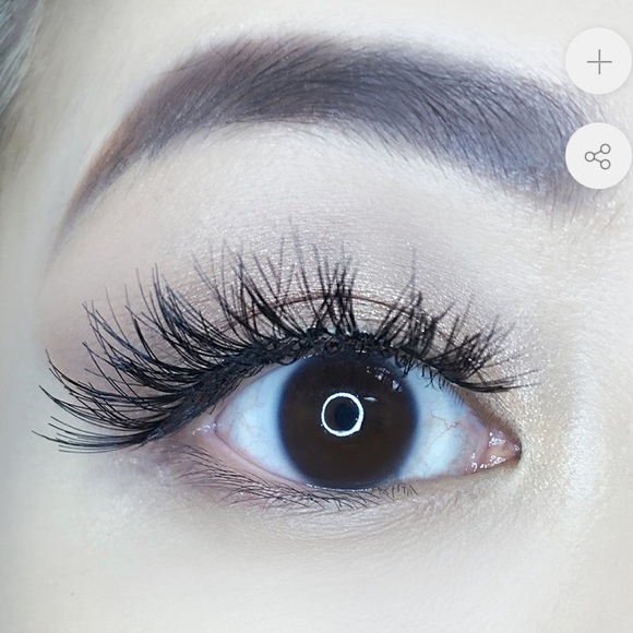 AOA studio eyelashes in the style Alexis - Picture 3 of 3